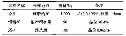 某鉬礦磨選工藝流程的研究與改造